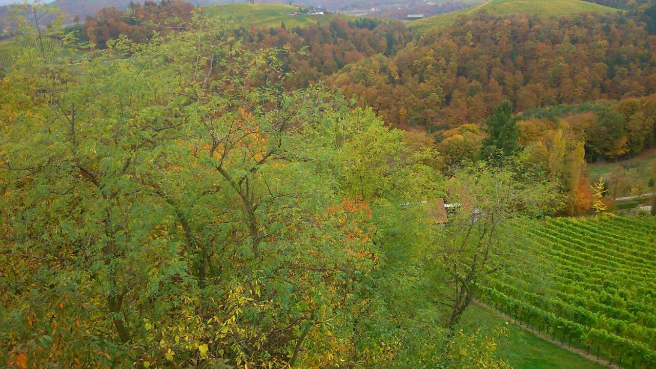 Apartmenthaus Styria Bad Gleichenberg Exteriör bild